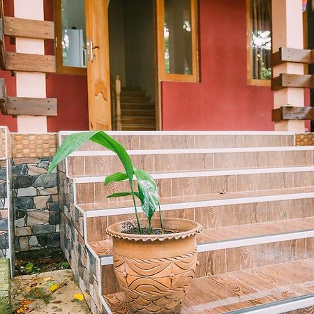 Hotel Forest Fairy Shekvetili Dış mekan fotoğraf