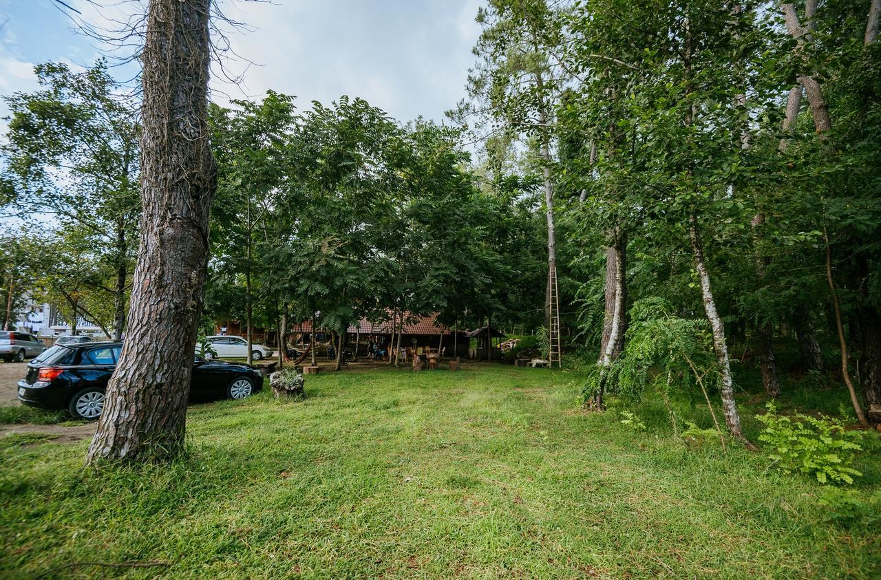 Hotel Forest Fairy Shekvetili Dış mekan fotoğraf